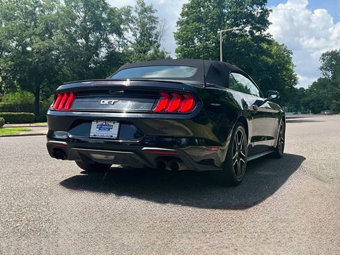 Used 2019 Ford Mustang GT Premium w/ Equipment Group 401A RWD image 5