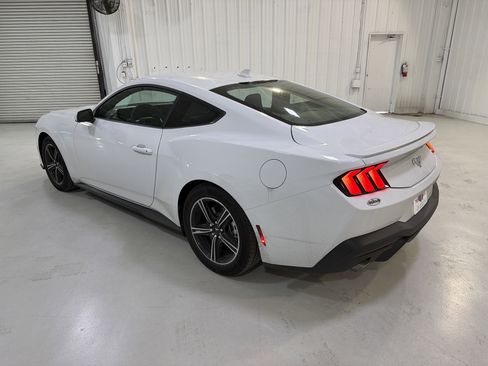 Used 2025 Ford Mustang Premium image 3