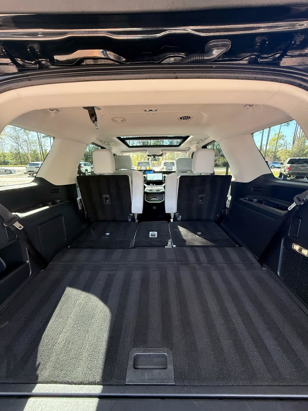 Used 2025 Ford Expedition Platinum AWD/4WD image 19