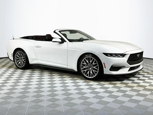 Used 2024 Ford Mustang Premium RWD image 3