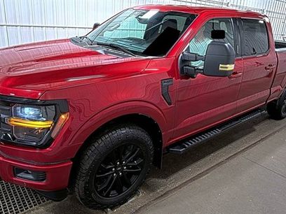 Used 2024 Ford F150 XLT w/ Equipment Group 302A MID