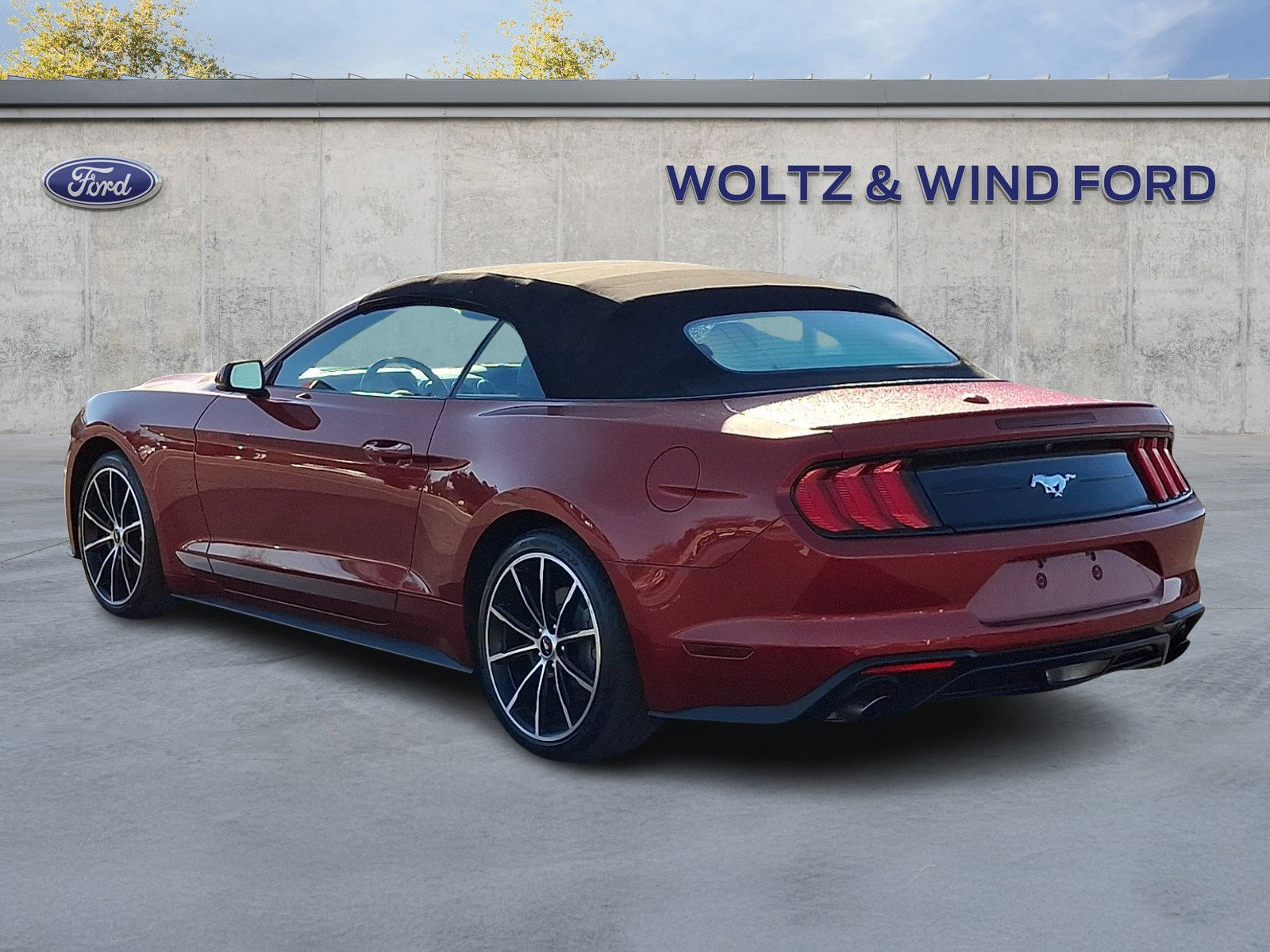 Used 2020 Ford Mustang Premium w/ Equipment Group 201A RWD image 4