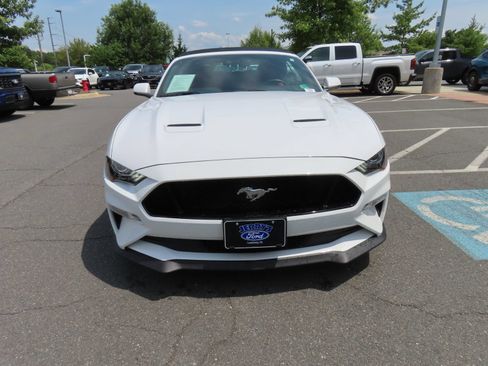 Used 2019 Ford Mustang GT Premium w/ GT Performance Package RWD image 3