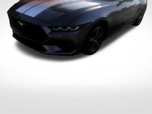 Used 2025 Ford Mustang Coupe RWD image 2