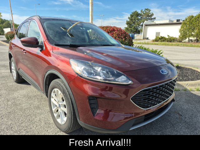 Used 2021 Ford Escape SE w/ Cold Weather Package AWD/4WD image 5