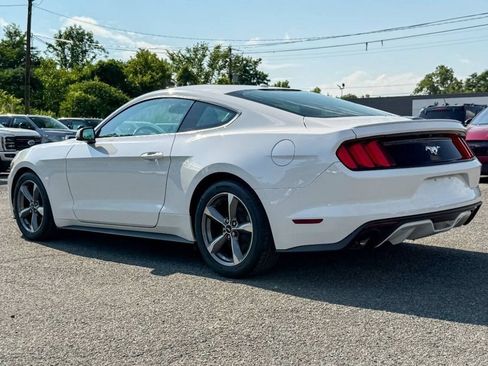 Used 2016 Ford Mustang Premium w/ Equipment Group 201A RWD image 5