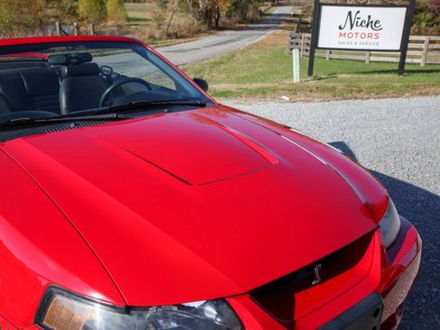 Used 1999 Ford Mustang Cobra RWD image 24