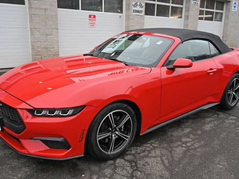 Used 2024 Ford Mustang Premium image 9