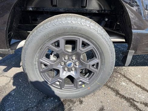 New 2026 Ford F150 STX w/ Equipment Group 200A image 13