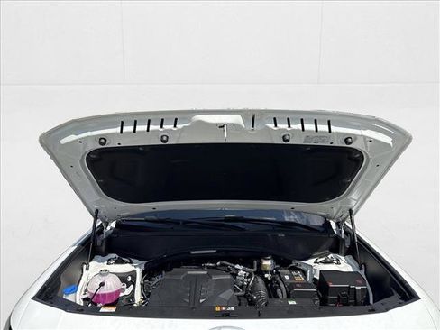 New 2026 Hyundai Palisade Calligraphy image 19