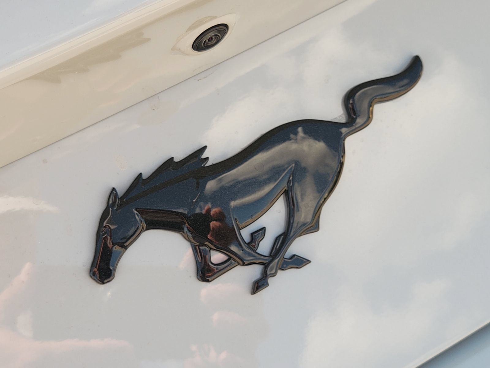 New 2026 Ford Mustang Coupe w/ Mustang Nite Pony Package RWD image 12