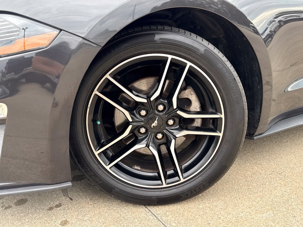 Used 2022 Ford Mustang Premium RWD image 53