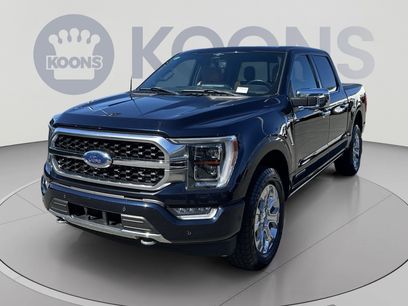 Used 2023 Ford F150 Platinum w/ Equipment Group 701A High