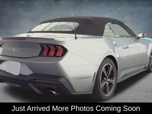 Used 2025 Ford Mustang Premium RWD image 2