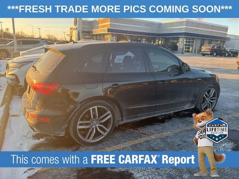 Used 2015 Audi SQ5 Premium Plus w/ Technology Package image 3
