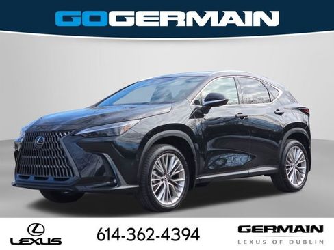 Certified 2025 Lexus NX 350 AWD w/ Cold Area Package image 4