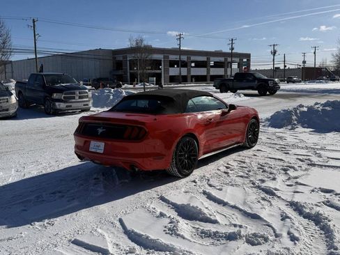 Used 2016 Ford Mustang Convertible w/ Equipment Group 051A image 11