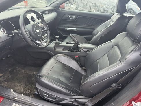 Used 2017 Ford Mustang GT Premium w/ Equipment Group 401A image 6