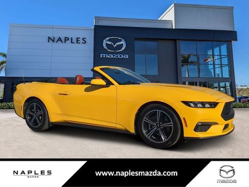Used 2024 Ford Mustang Premium image 1