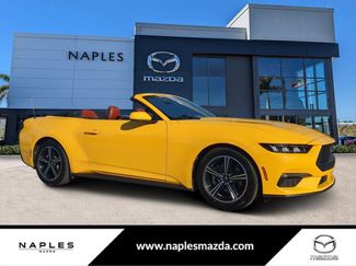 Used 2024 Ford Mustang Premium video 1