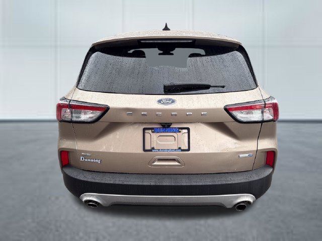 Used 2020 Ford Escape SE AWD/4WD image 3