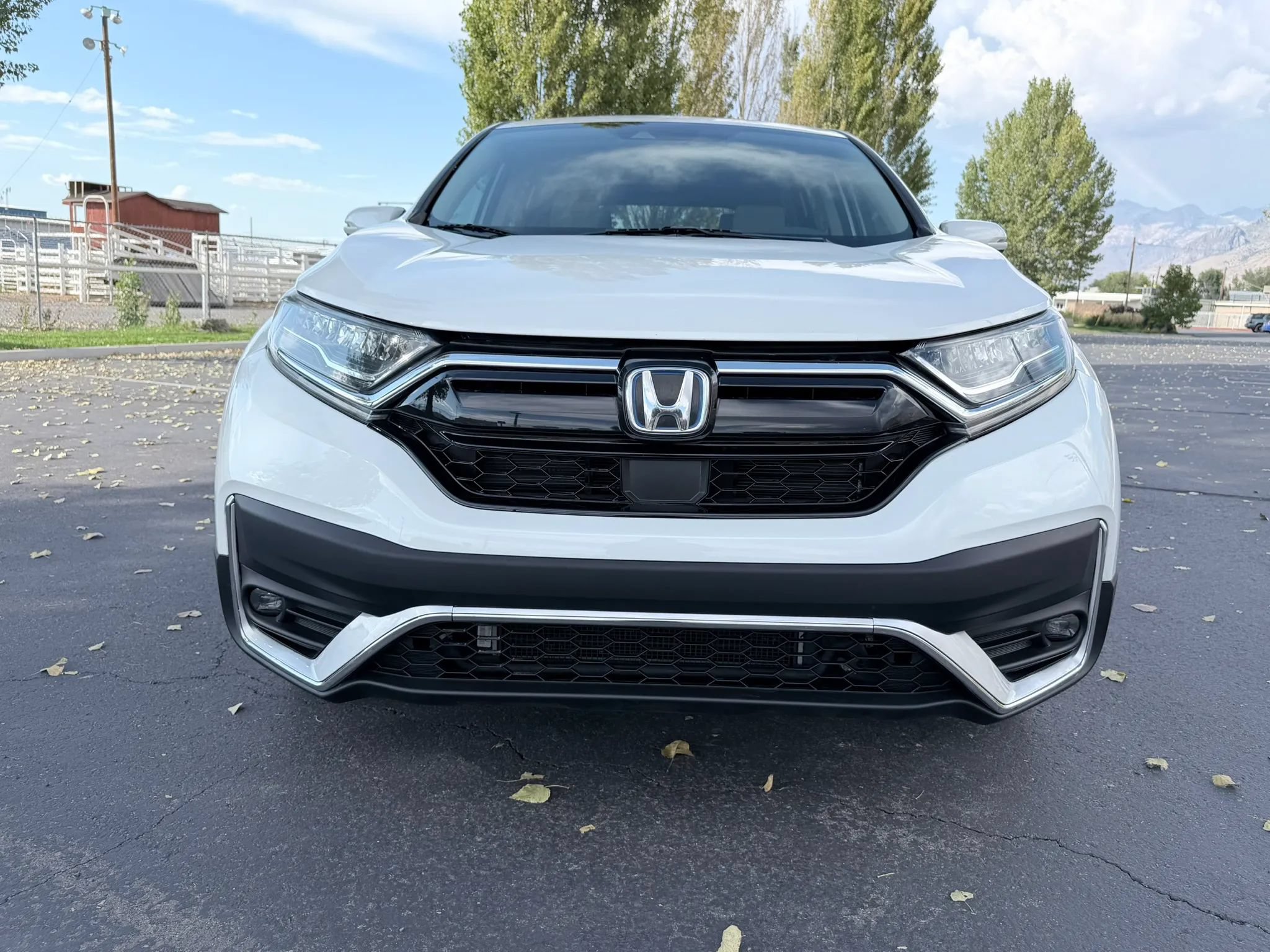 Used 2022 Honda CR-V EX image 12