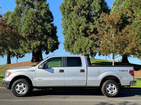 Used 2014 Ford F150 XLT w/ Equipment Group 301A Mid image 5