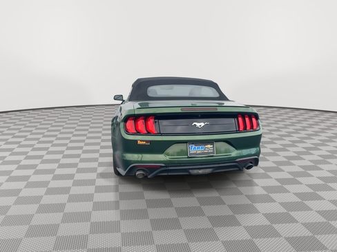 Used 2023 Ford Mustang Premium image 7