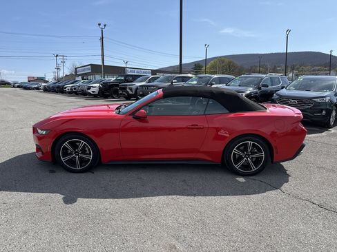 Used 2025 Ford Mustang Premium RWD image 7
