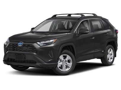 Certified 2025 Toyota RAV4 XLE Premium w/ Weather Package