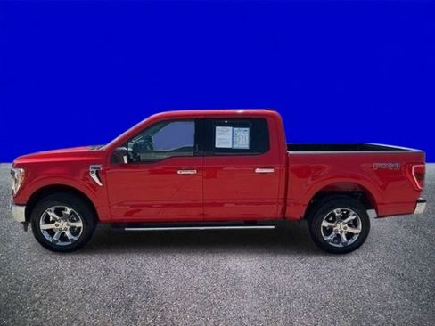 Used 2023 Ford F150 XLT w/ Equipment Group 302A High AWD/4WD image 4