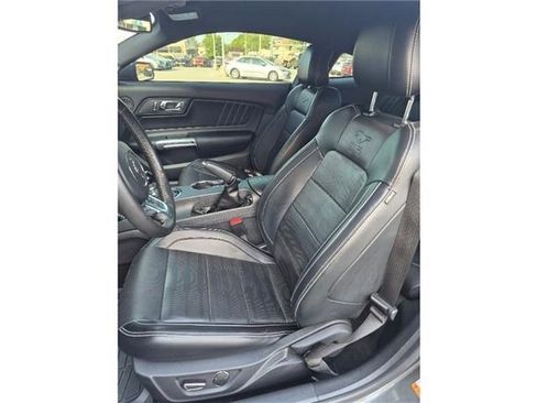 Used 2015 Ford Mustang GT Premium w/ 50 Years Appearance Package RWD image 6