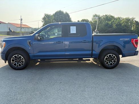Used 2023 Ford F150 XLT w/ Equipment Group 302A High AWD/4WD image 6