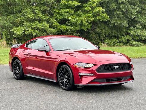 Used 2019 Ford Mustang Premium w/ Equipment Group 201A RWD image 10