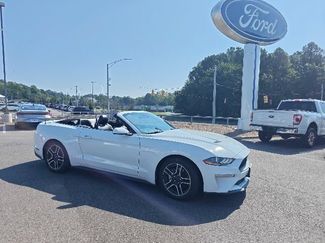 Used 2021 Ford Mustang Premium RWD video 1