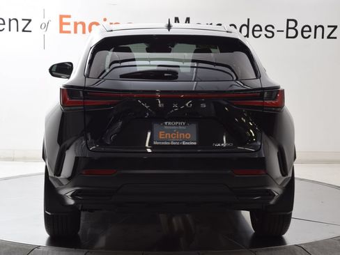 Used 2025 Lexus NX 250 FWD image 5