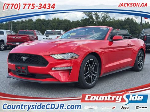 Used 2019 Ford Mustang Premium RWD image 1