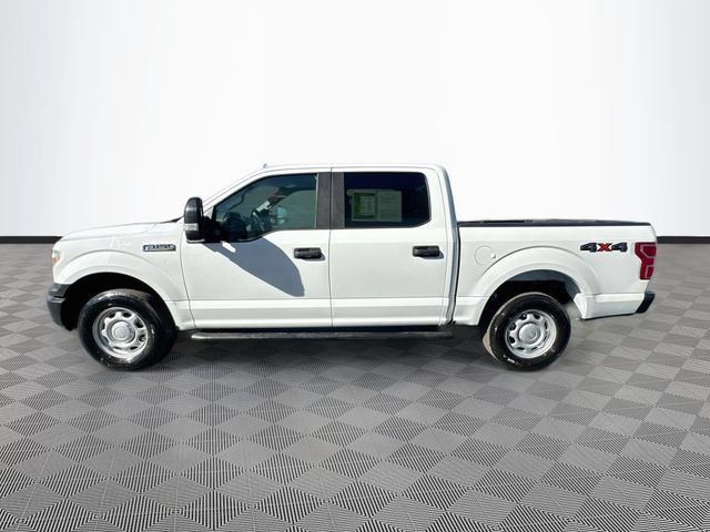 Used 2020 Ford F150 XL w/ XL Power Equipment Group AWD/4WD image 4
