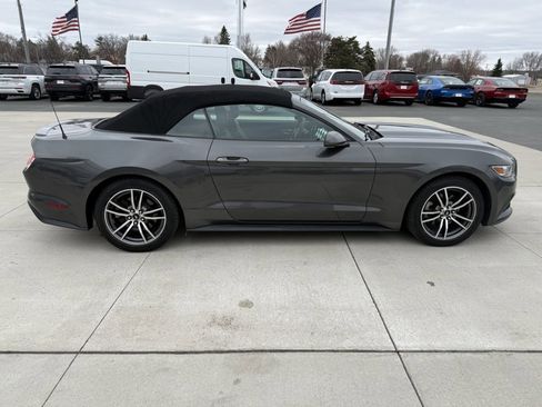 Used 2017 Ford Mustang Premium image 11