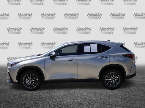 Used 2025 Lexus NX 350h AWD w/ Accessory Package (2T) image 6
