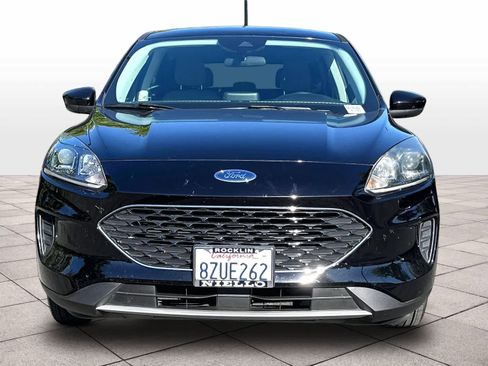 Used 2021 Ford Escape SE w/ Convenience Package FWD image 3