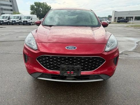 Used 2020 Ford Escape SE AWD/4WD image 5