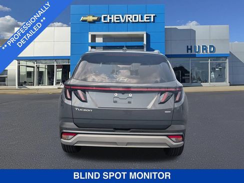 Used 2025 Hyundai Tucson Limited AWD/4WD image 5