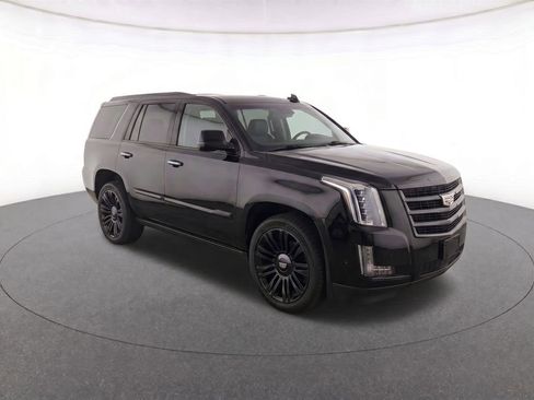 Used 2019 Cadillac Escalade Platinum RWD image 2