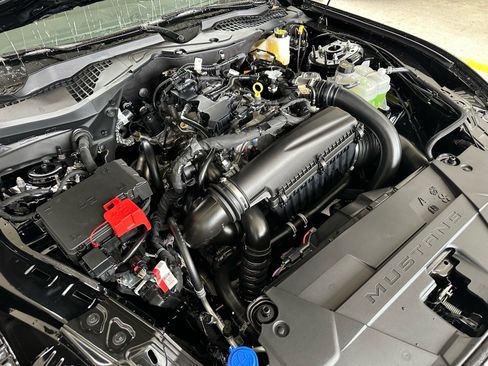 New 2026 Ford Mustang Coupe w/ Mustang Nite Pony Package image 13