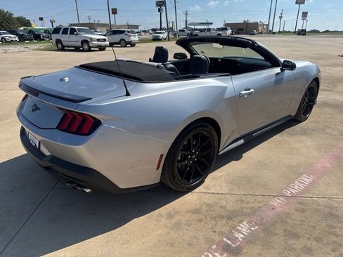Used 2024 Ford Mustang Convertible w/ Mustang Nite Pony Package image 7