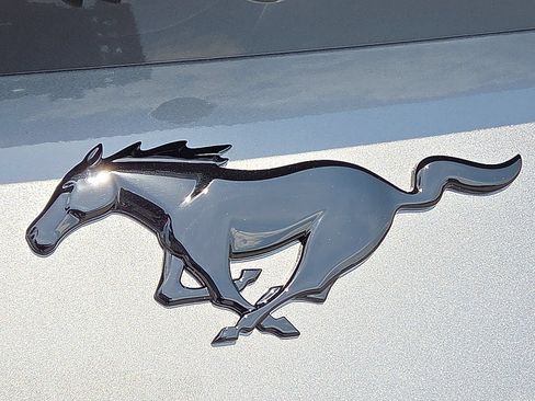 New 2026 Ford Mustang Coupe w/ Mustang Nite Pony Package RWD image 8
