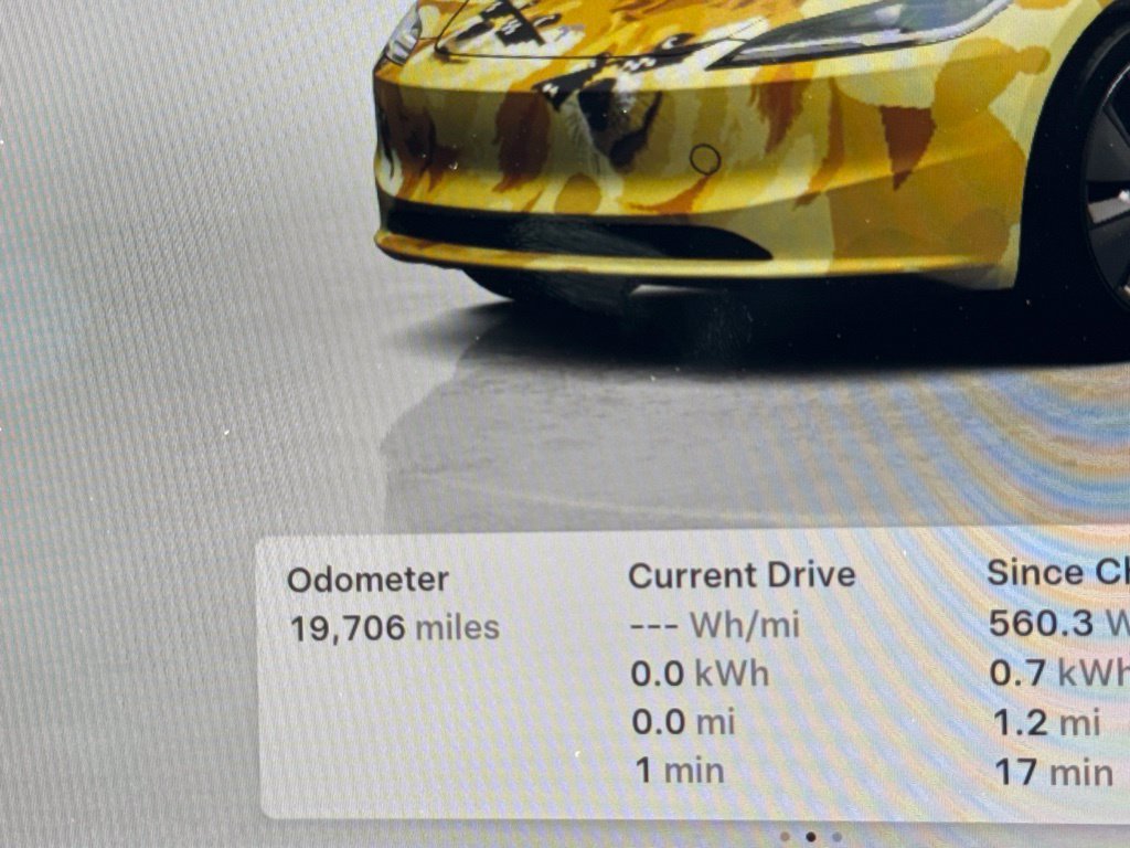 Used 2025 Tesla Model 3 Long Range RWD image 24