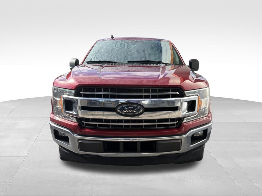 Used 2019 Ford F150 XLT w/ Equipment Group 302A Luxury RWD image 2