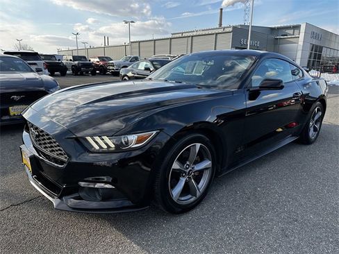 Used 2016 Ford Mustang Coupe w/ Equipment Group 051A image 9